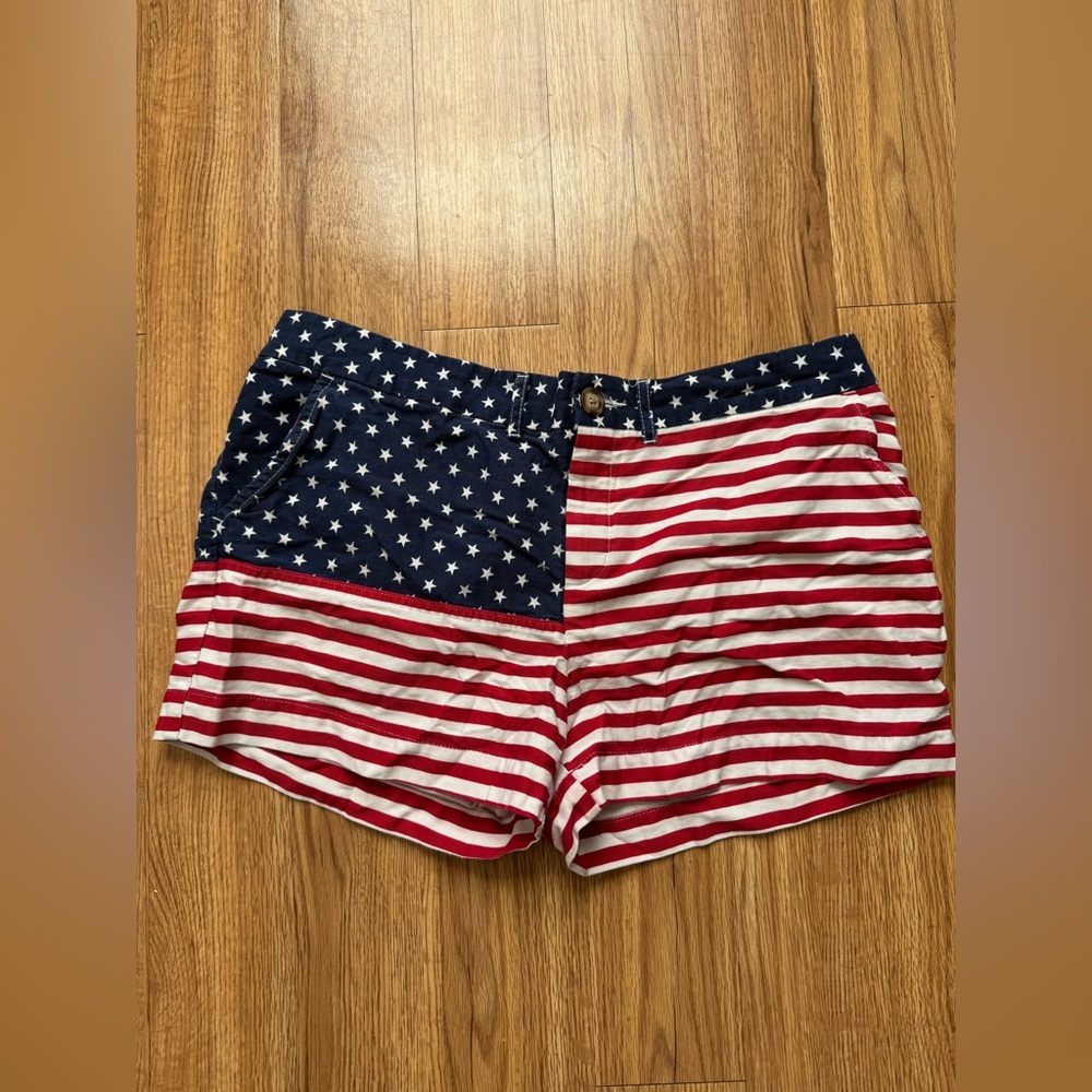 Chubbies Shorts (14)
